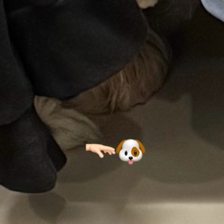 扎特公主🫳🏻🐶 