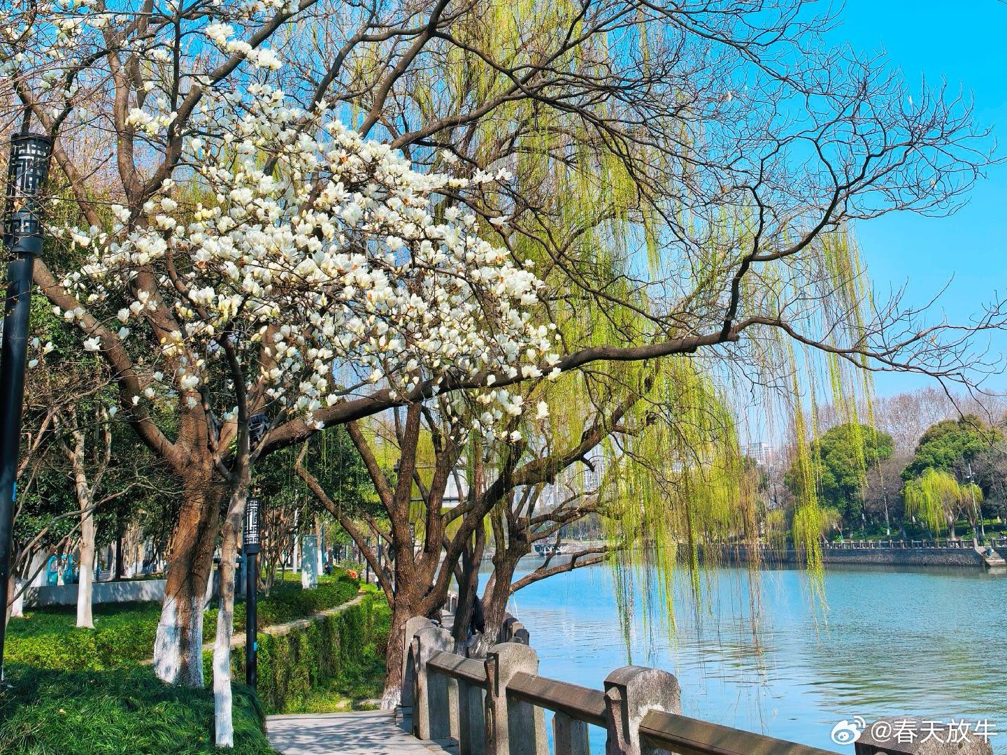 奔流不息的大运河，是家门口最动人的风景。 