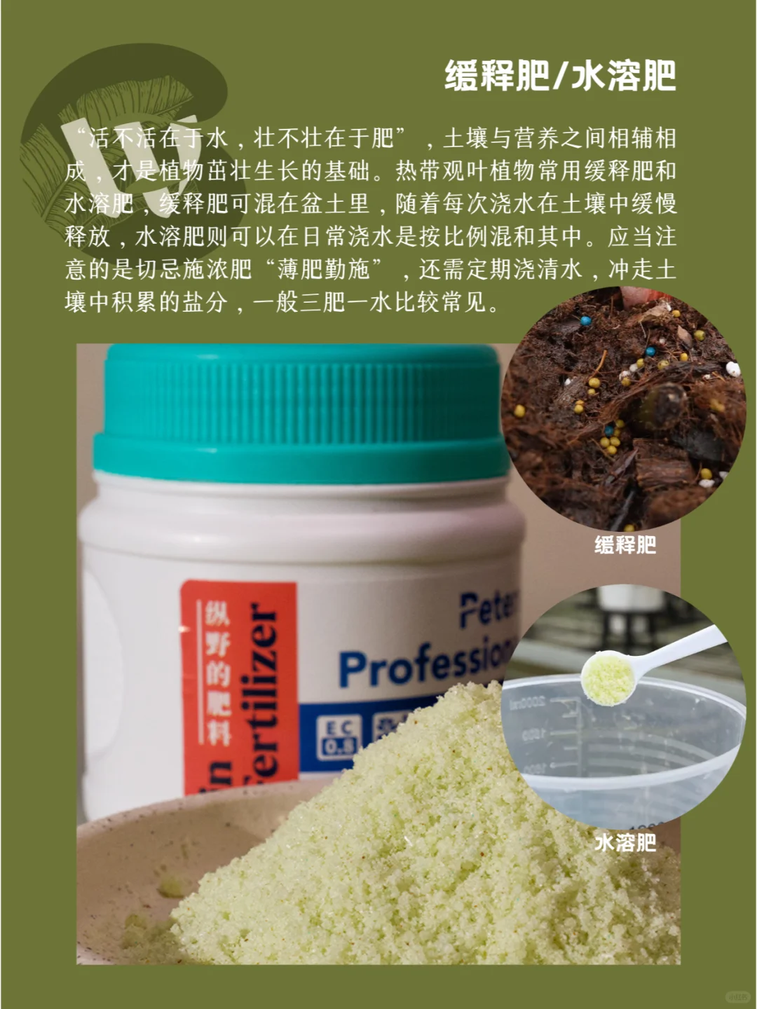 👏热植入坑🍀新手必知的热植养护术语