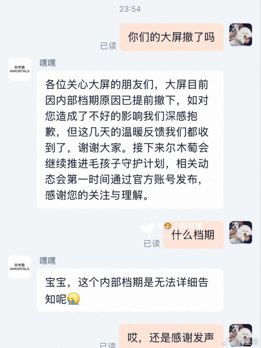 -网友爆深圳大屏后续:因内部档期原因已提前撤下！前情:网页链接