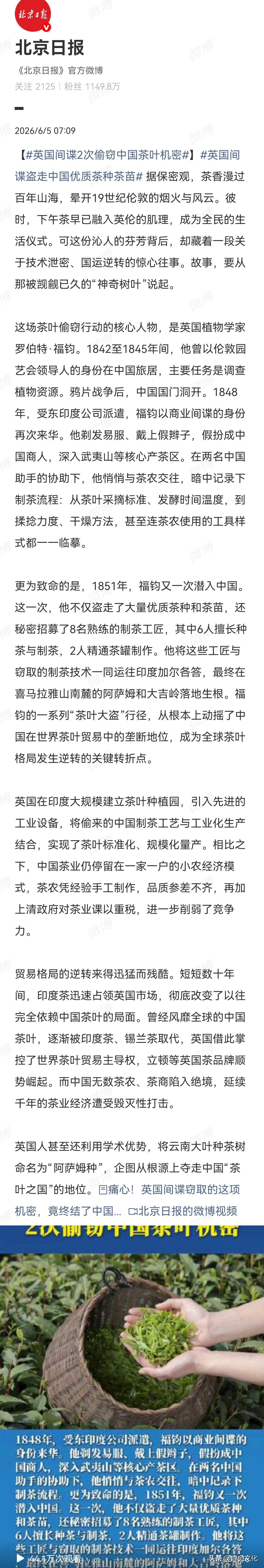 不光偷走了我们的茶叶技术，还有丝绸技术，瓷器技术等当时中国出口贸易占垄断地位的产