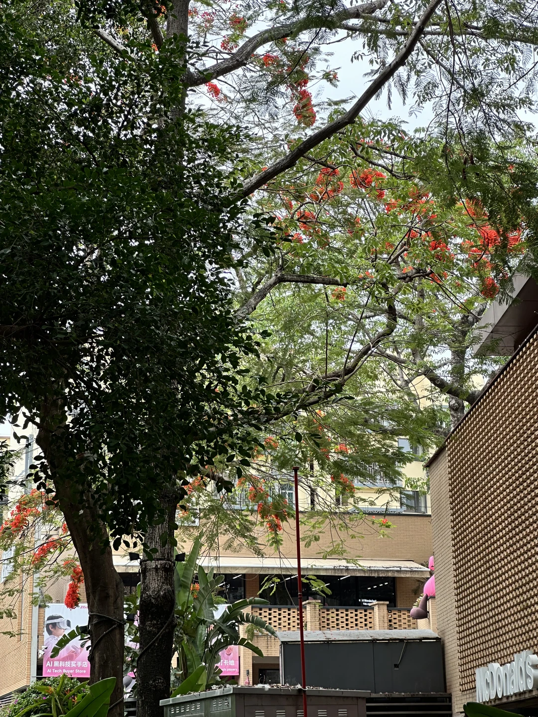 深圳南头古城｜东门