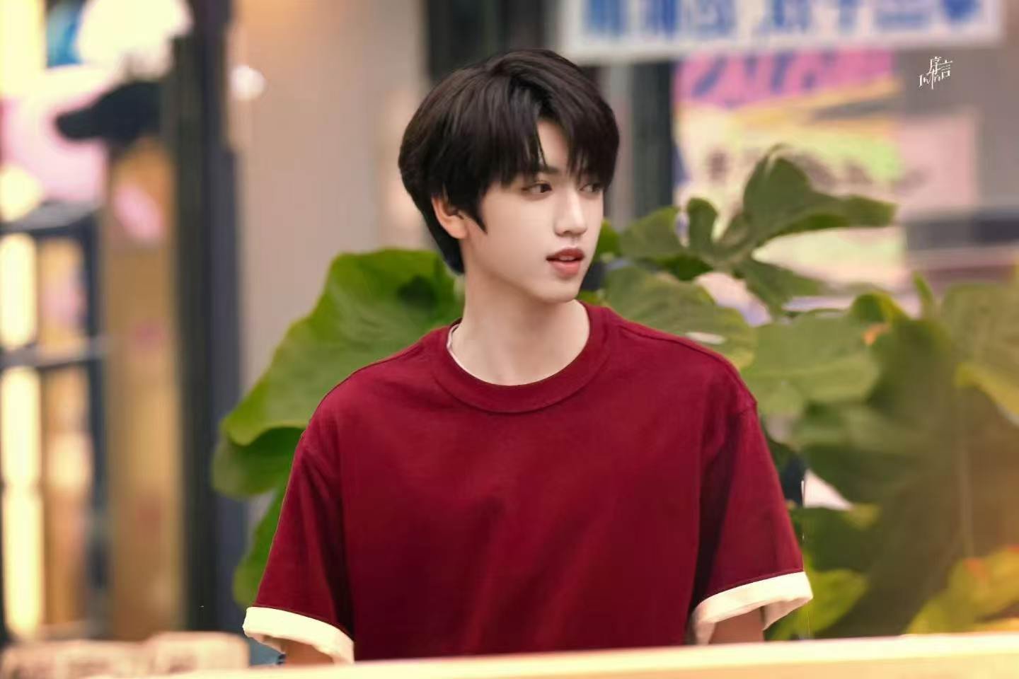 张桂源被夸男团标准💛张桂源Whiplash 导师夸奖男团标准，张桂源质感突出，