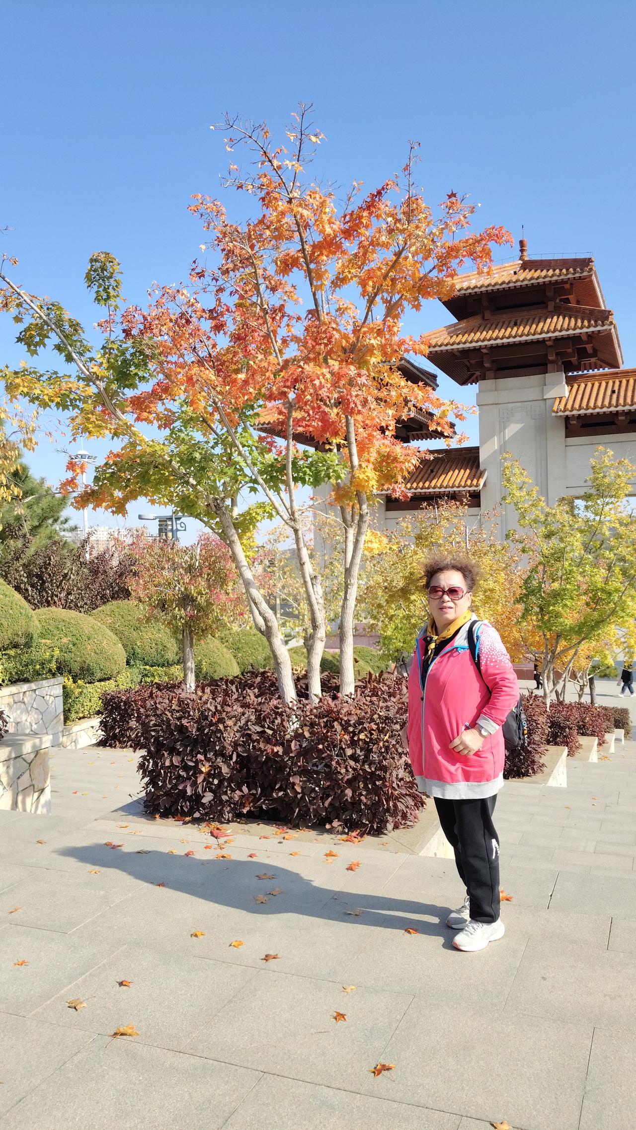 秋季绝美景色打卡秋意浓时游玩锦州南山公园，走着走着满山遍野秋天美景就在眼前，红叶