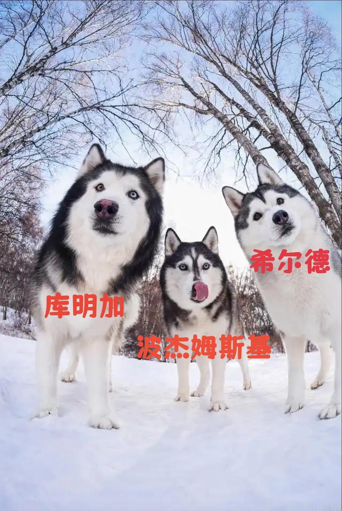 两连败之后的勇士，回头一看，
哎呦我去，留给勇士的时间还有很多。
五库勇士打了两