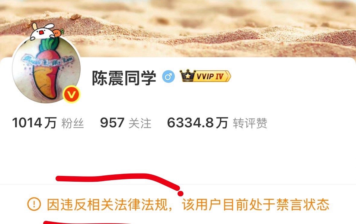 陈震多平台被禁言这种多平台同一时间禁言明确说了违反法律法规，这个不是“违反社区规