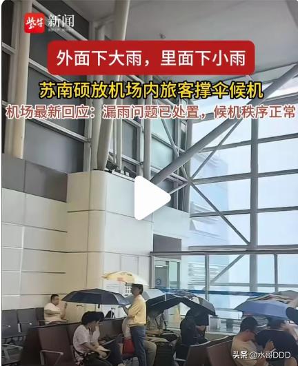 白海豚钻进机场，旅客撑伞候机：这雨漏得憋屈
·
8月10日中午12点前后，无锡苏