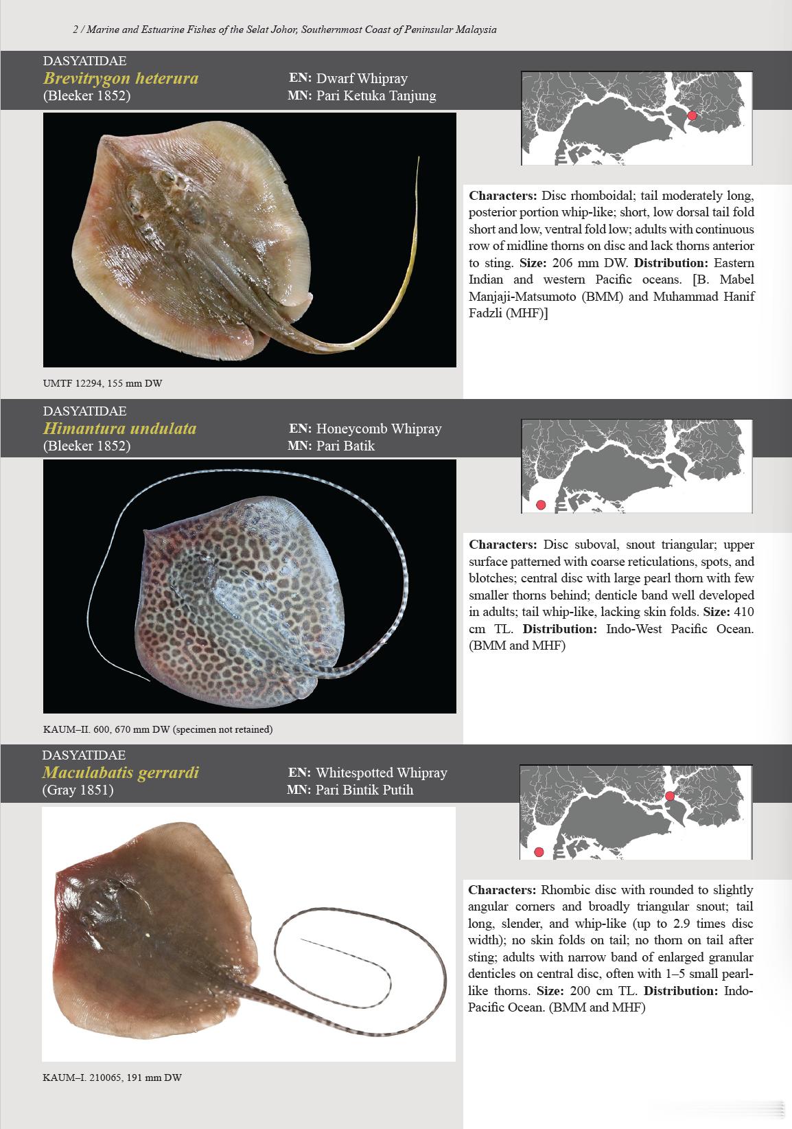 鱼类书籍 “Marine and Estuarine Fishes of the