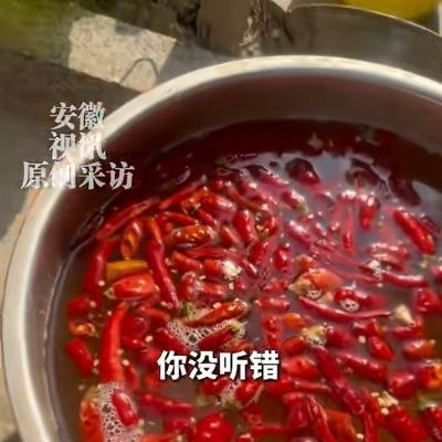 人怎么这么聪明！5月18日报道，河北石家庄，一女子在家种青菜，结果大多被虫子吃的