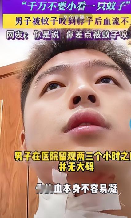 太离奇了！上海，一男子在路边等车时被蚊子叮了脖子，顺手一挠竟血流如注，瞬间浸透衣
