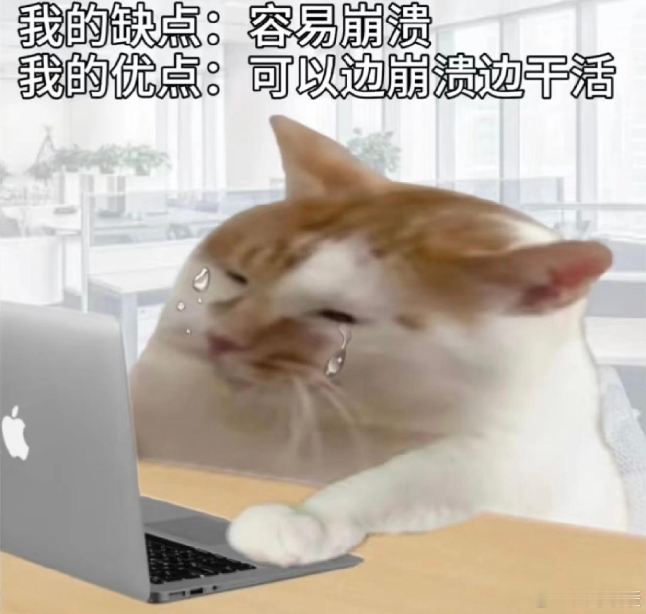 果然上班后看人的眼光会变昨天开完会出来 同事说感觉你瞬间老两岁 