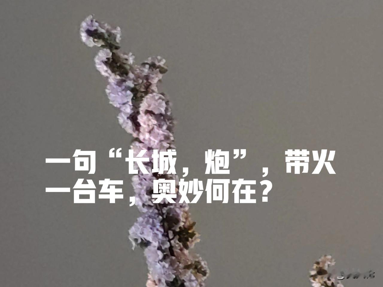 不得不说，还是短视频平台厉害。

大力仑的一句“长城，炮”，给长城汽车带来了泼天