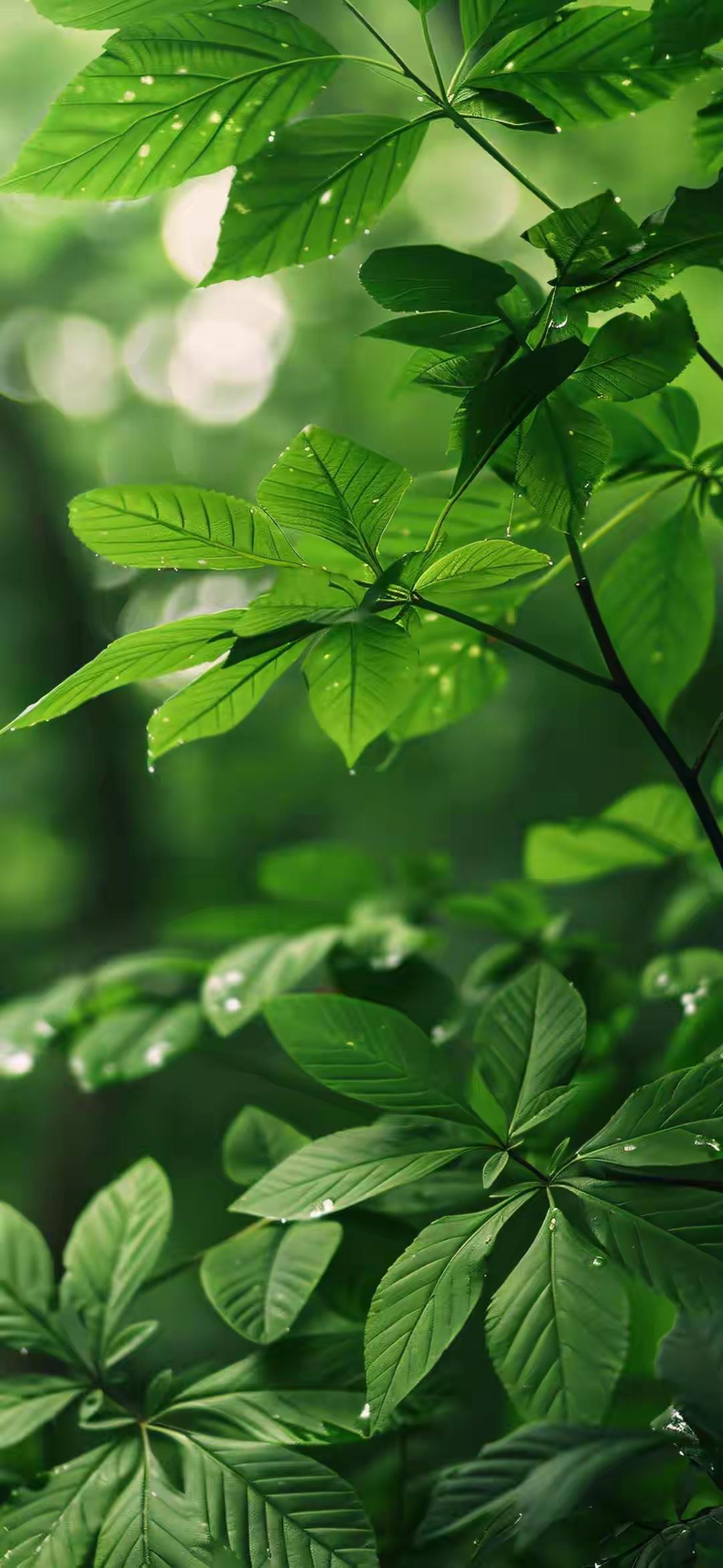 在中原大地的西北边陲，有一座名为“玄风镇”的小城。这里地处偏远，却因临近神秘的大
