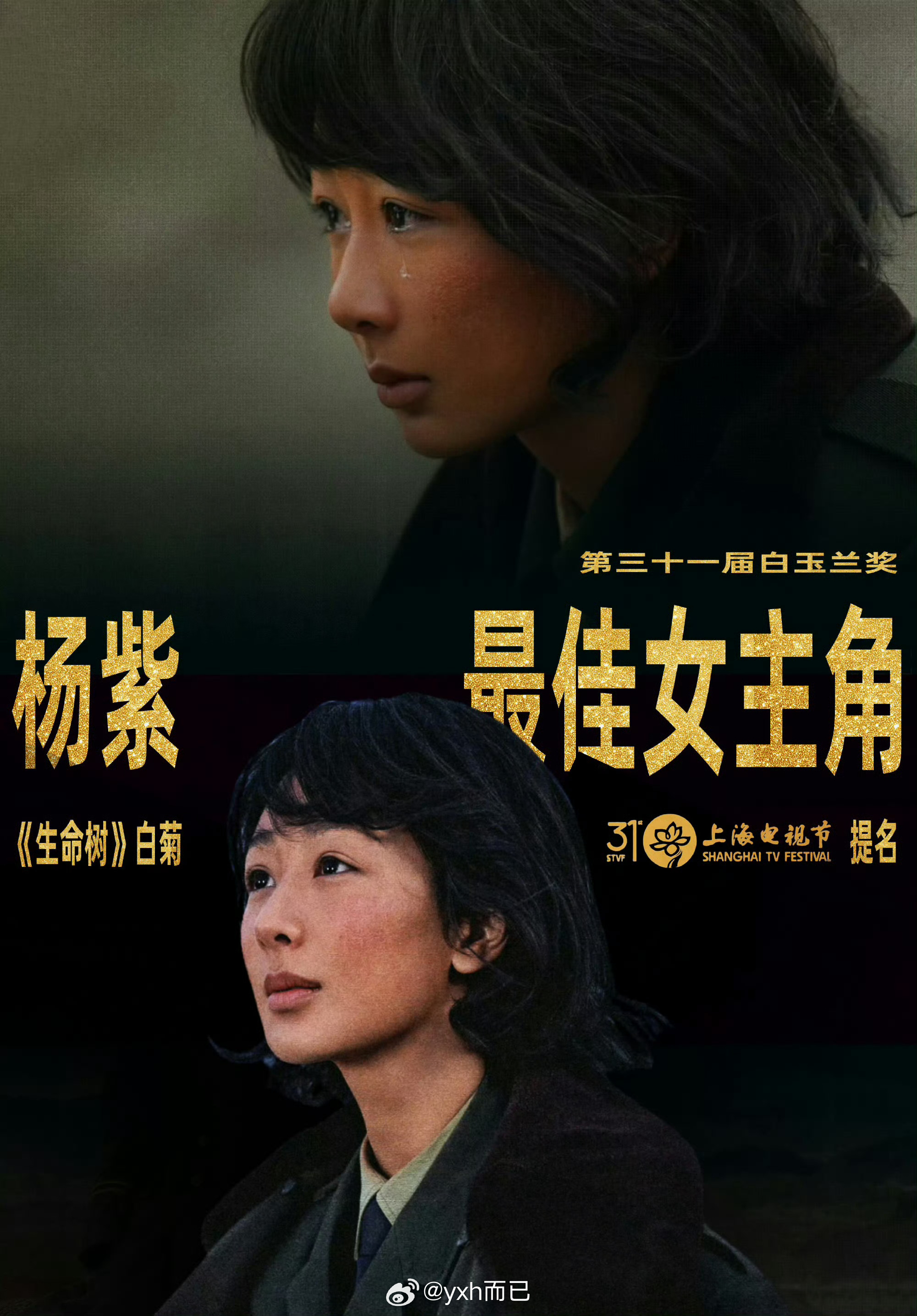 白玉兰获奖名单窝🌿白玉兰最佳女主角：杨紫《生命树》 