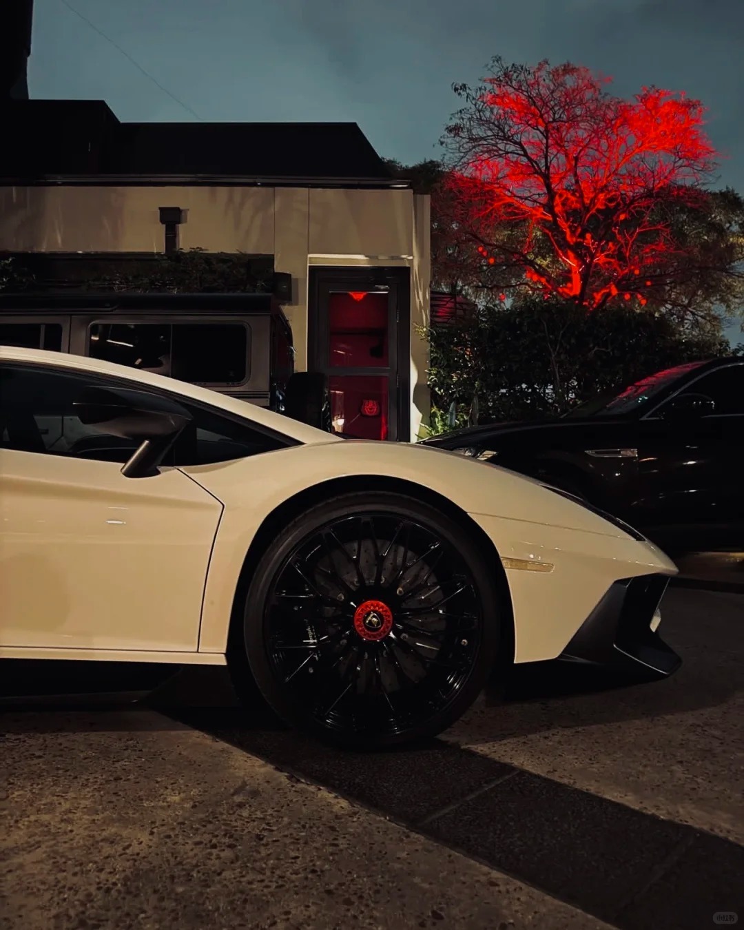 Lamborghni Aventador SV，纯享黑白简约之美绝美车片 ​​​