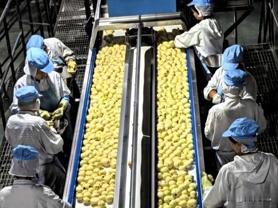 甘肃达利依托武威丰富的农产品资源优势，加大市场费用投入，通过技术升级与产品结构优