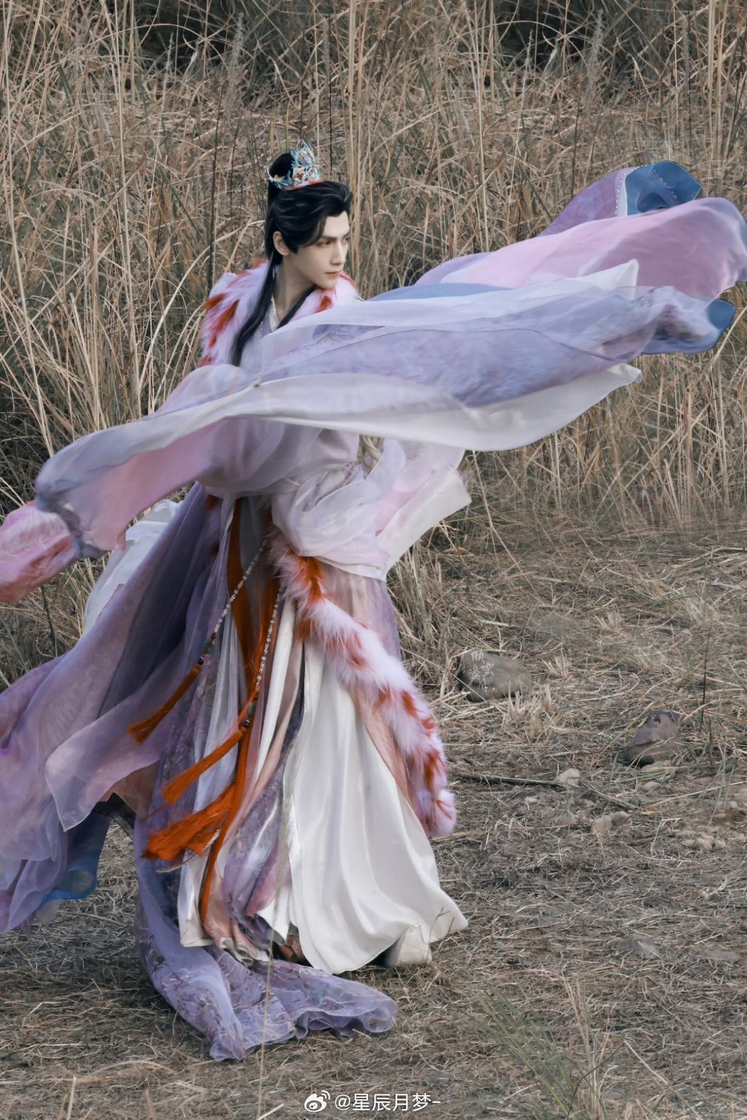 美人舞如莲花旋罗云熙