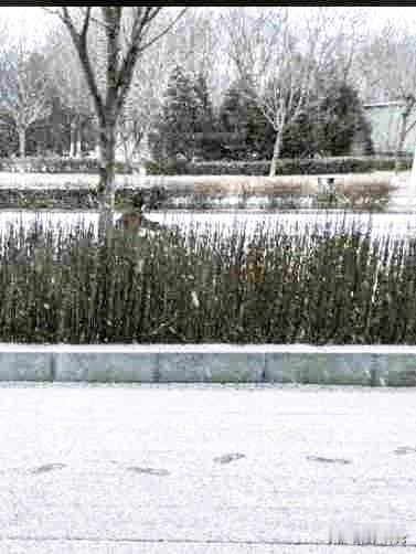 我的今日状态：😁轻松愉快
我这里的天气：❄️下雪

瑞雪兆丰年
今天下小雪了