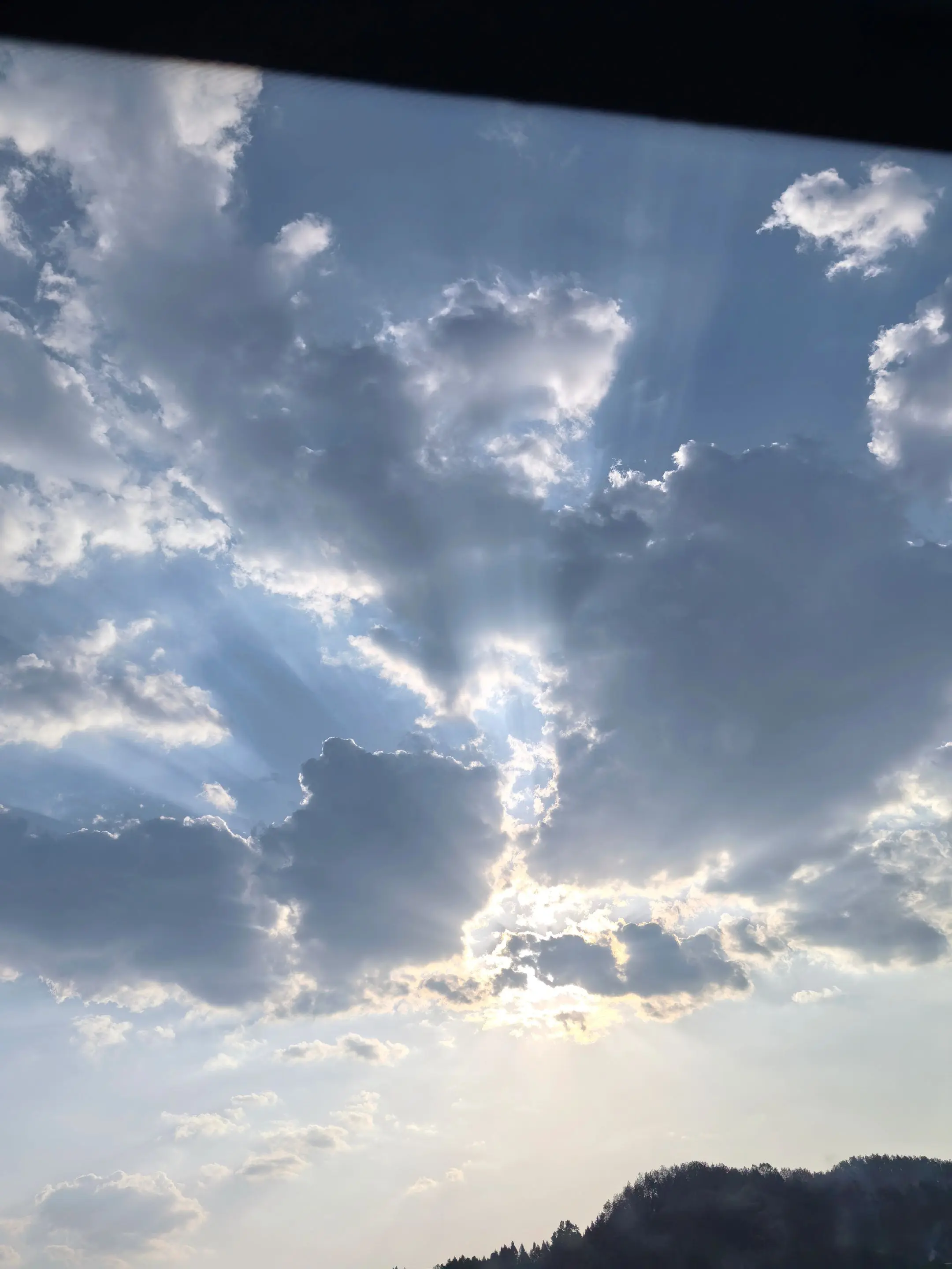 我曾捡到一束光 日落时还给了太阳 我知道那不是我的太阳 但有一刻太阳确...