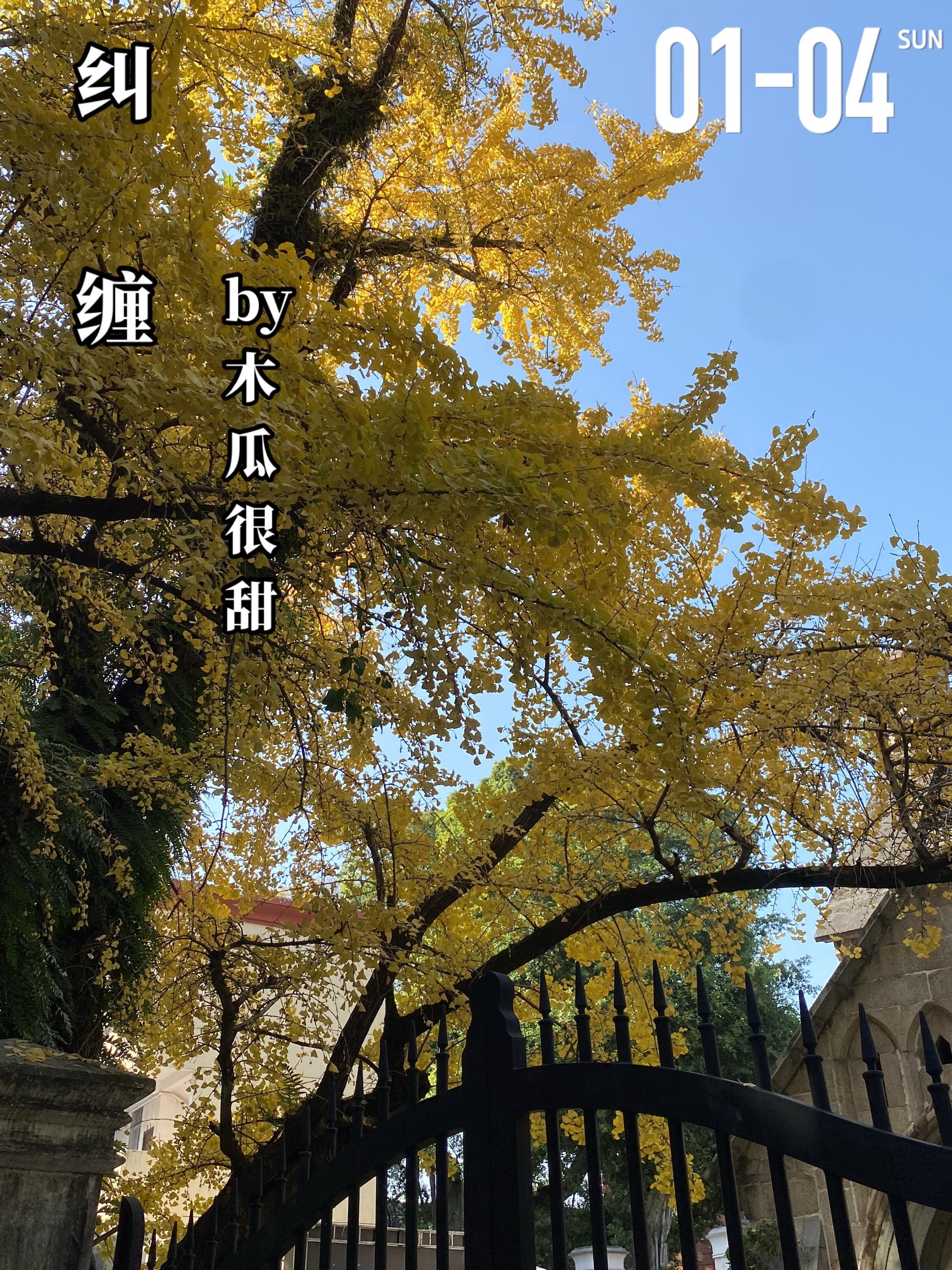 《纠缠》by木瓜很甜。赵舒于（女主）和秦肆（男主）两人是高中同学，那时...