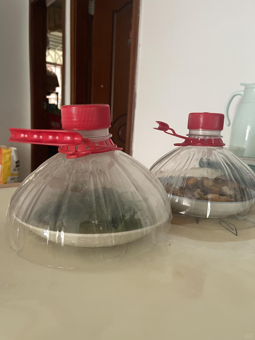 只能说，动手能力很强