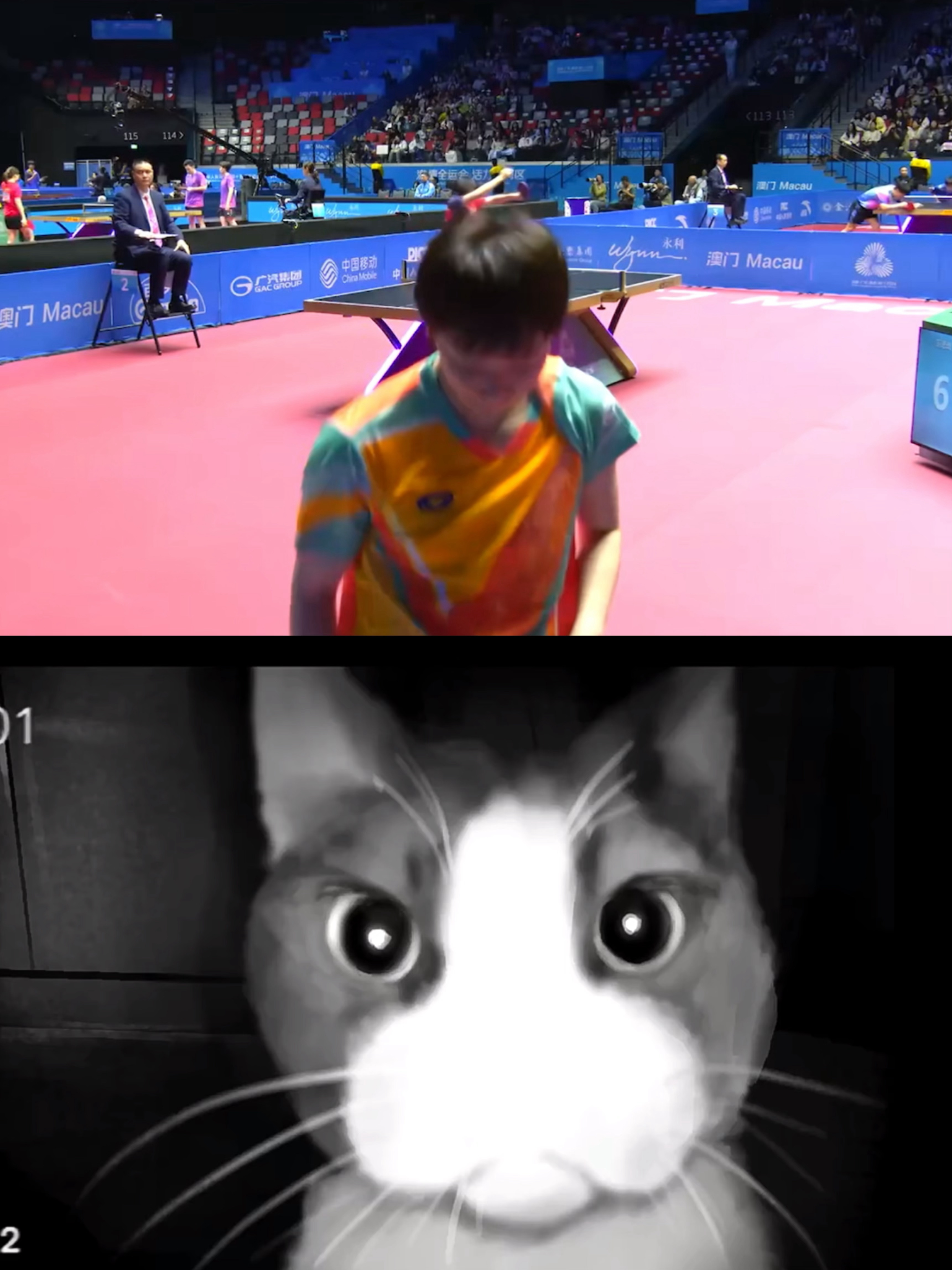 ：家人们 你也心跳加速了吗 