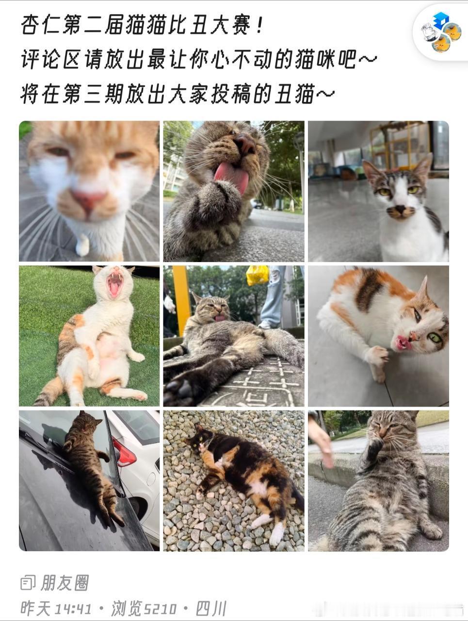 49877【丑猫】我刷校园墙然后被丑哭了呀 