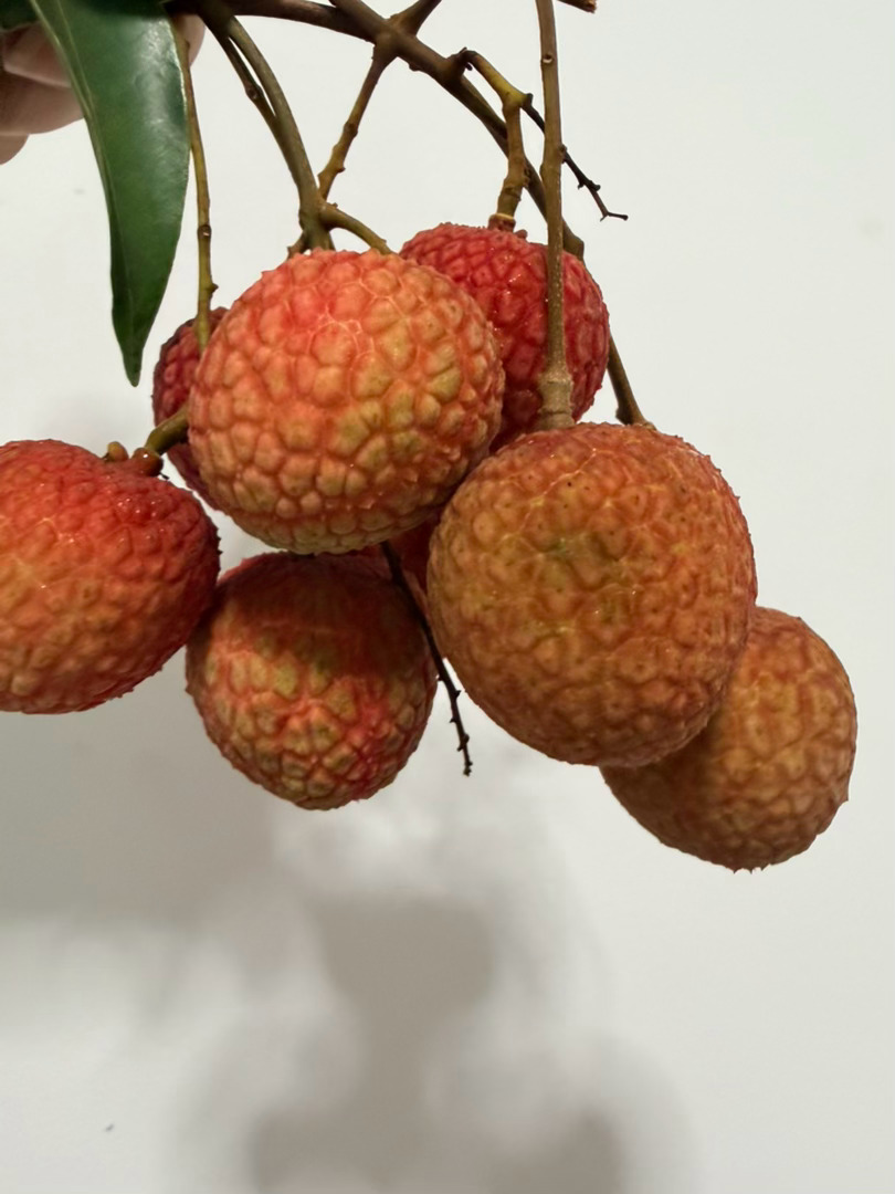 荔枝的含金量还在上升宝爸出差从老板家带回满满一大袋荔枝，幸福感拉满之前逛超市看到