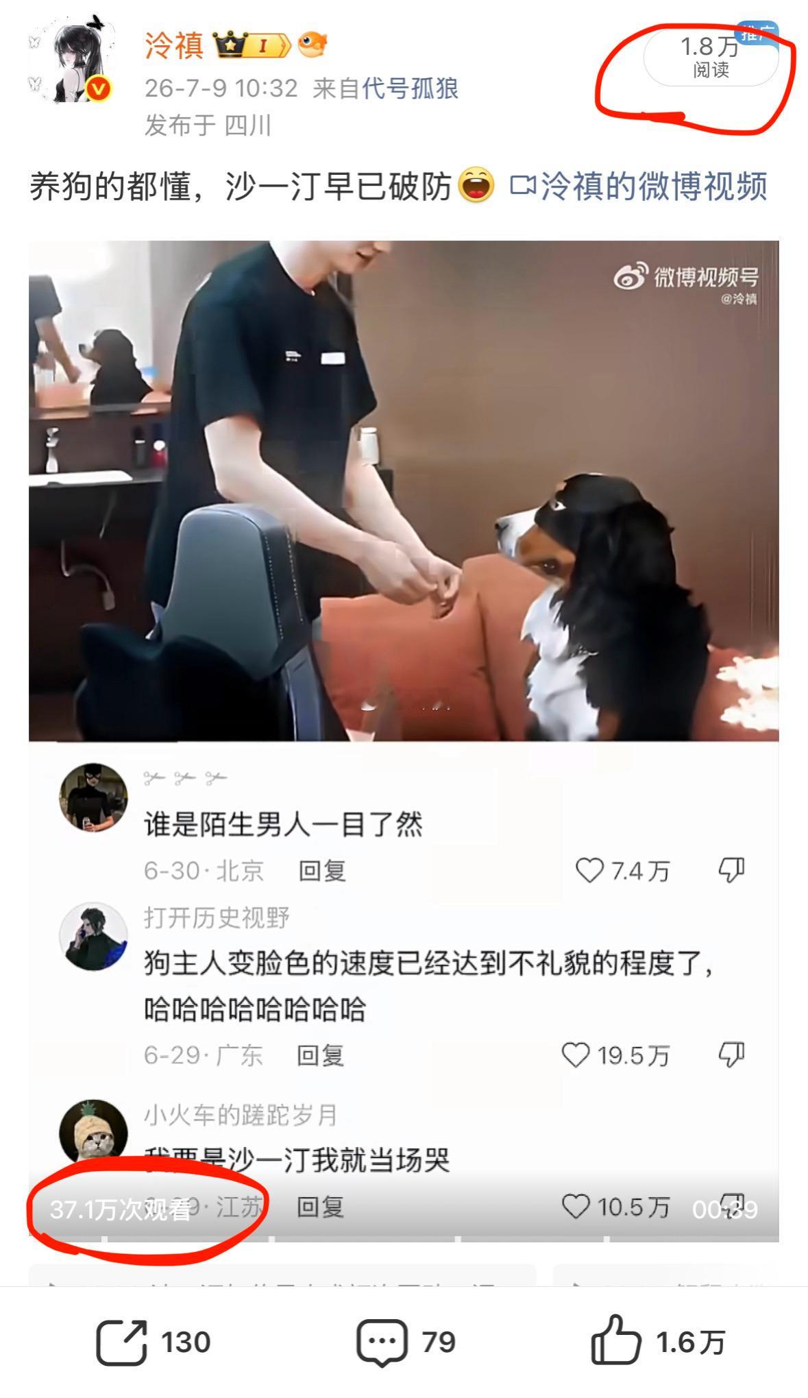 微博你继续虐待我 