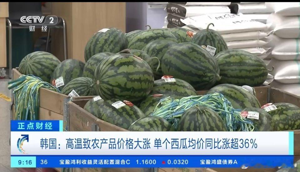 韩国一个西瓜涨到156元西瓜涨了他们不怕大不了不吃但是22块一颗的白菜不能不吃泡