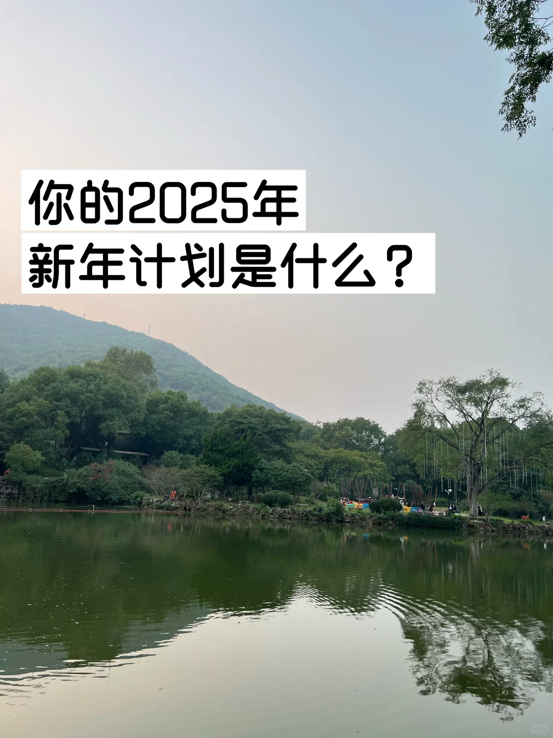 你的2025年，新年计划是什么？
