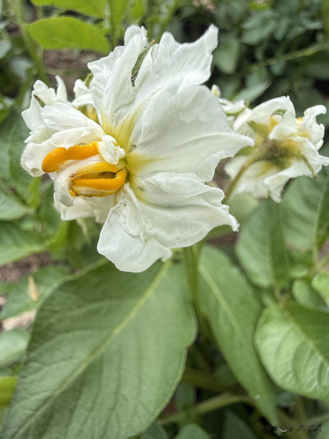 【小对联】
上：……？
下：留名。