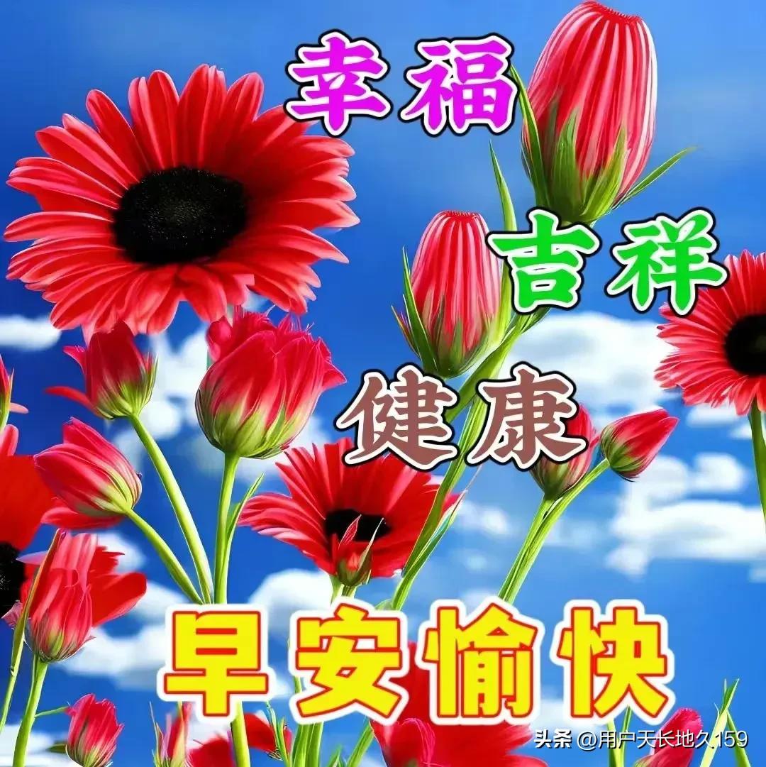 十月再见，十一你好，愿新月好运连连，健康幸福，心想事成，开心每天！🌹[福][祈