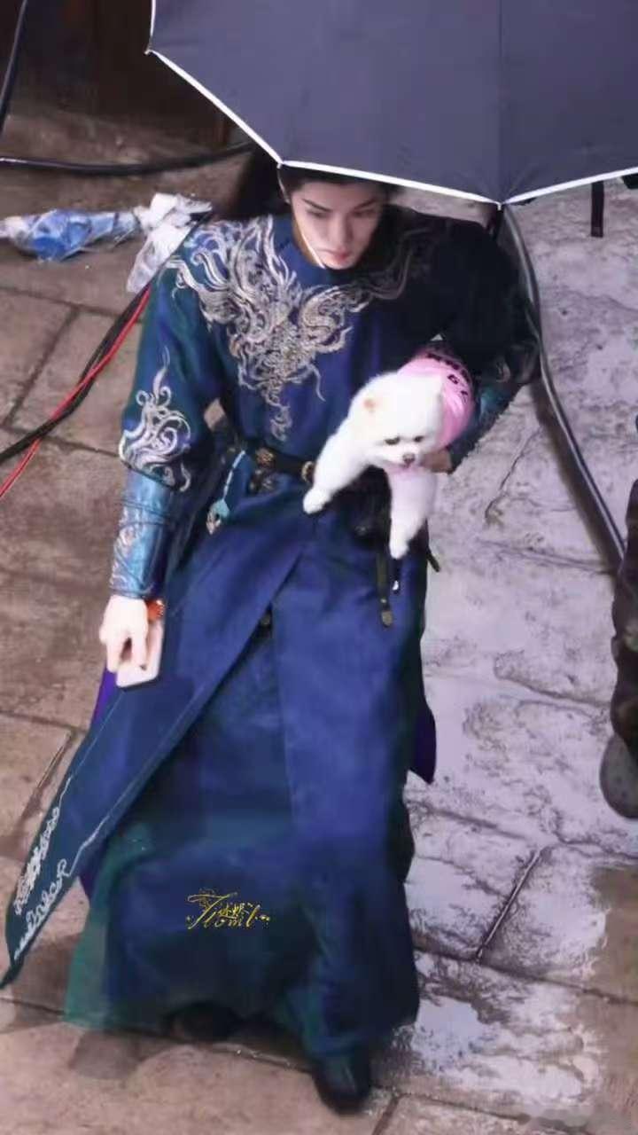 曾舜晞替孟子义的狗请客曾舜晞用巧克力请孟子义剧组喝奶茶 就喜欢这么大方又慷慨的大