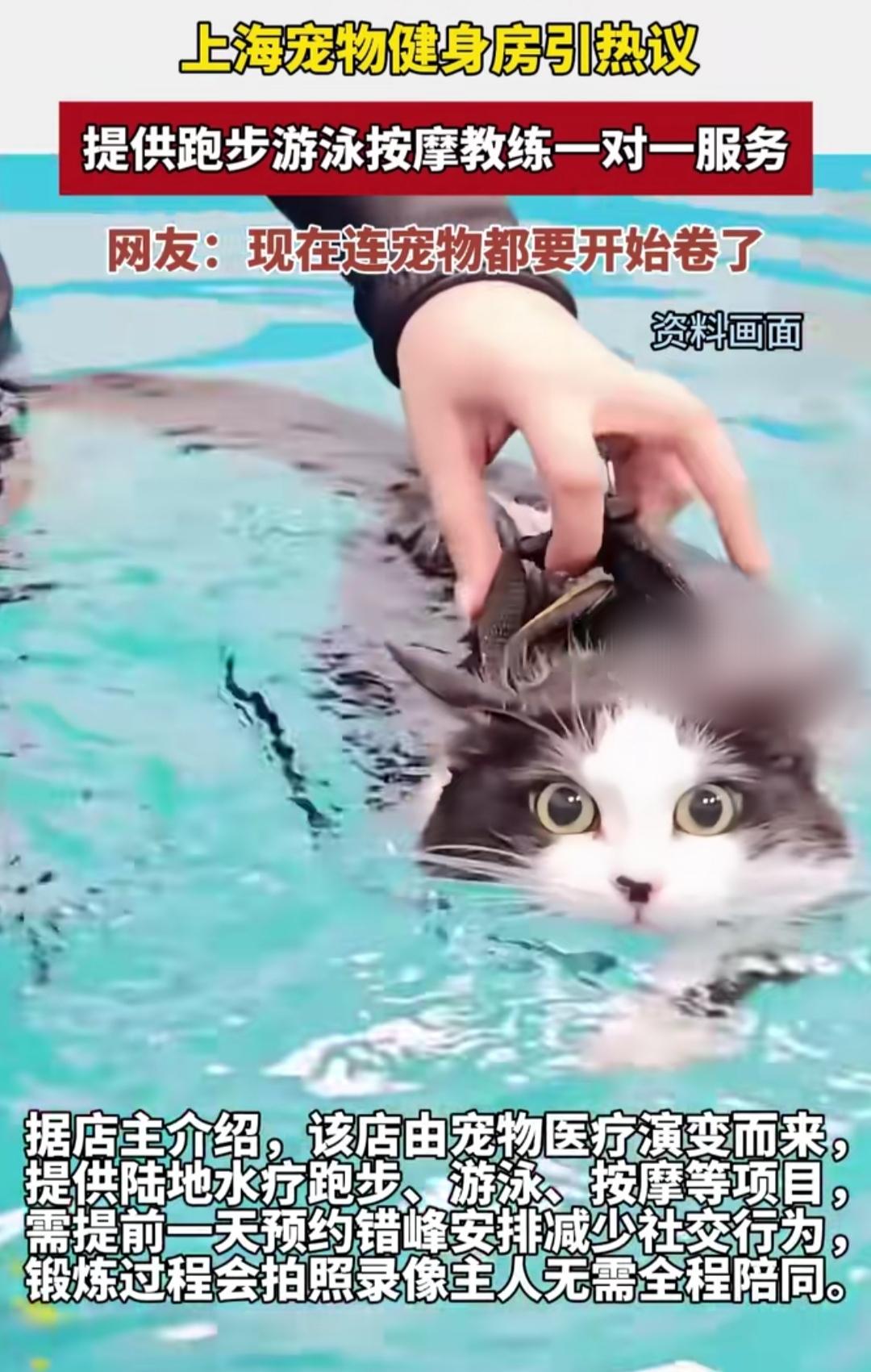 谁能想到，现在连毛孩子都有专属健身房了！上海这家宠物健身房直接火出圈，月卡198