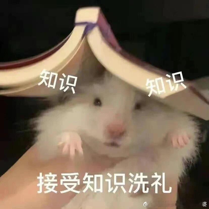 男子闯黄灯撞死无证闯红灯老人路口超速致人死亡，这是加重情节。很多人质疑闯黄灯严重