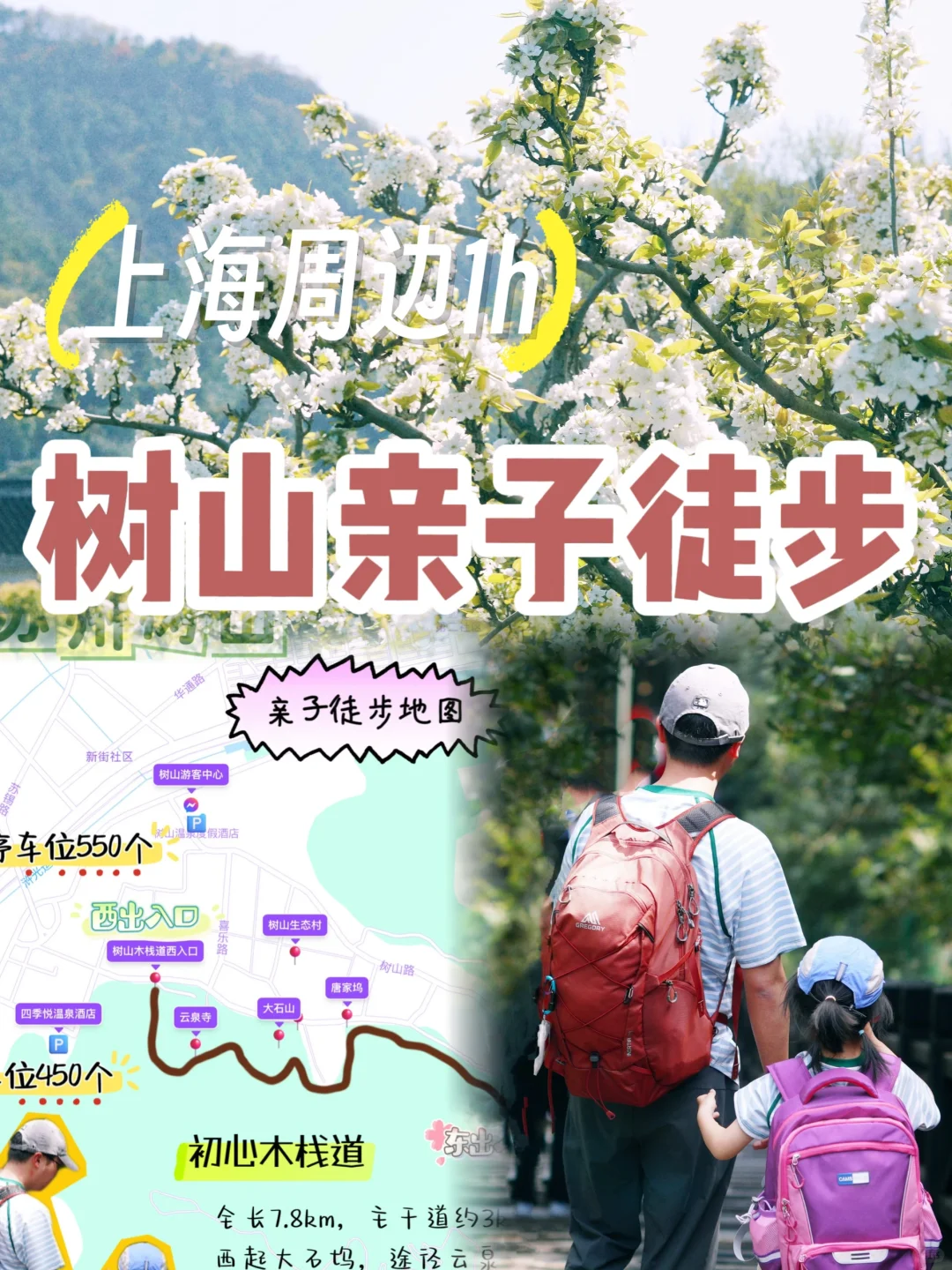 采茶🍃看花海‼️苏州树山亲子一日路线