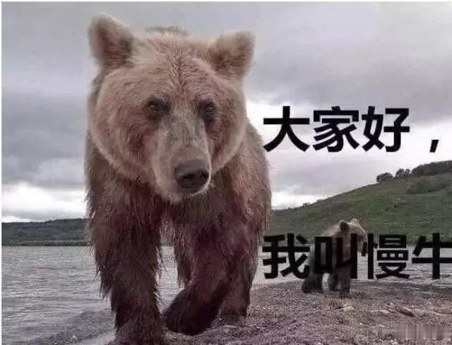 关于当今的股市，我又找出一张2015年的旧图片来应景[微笑] ​​​