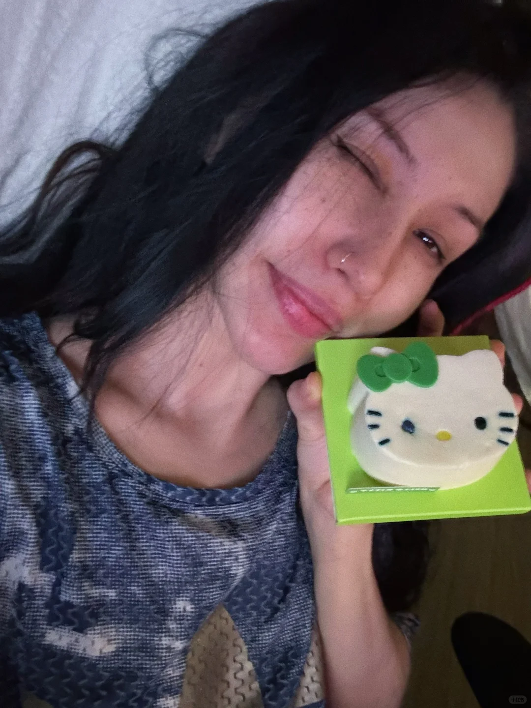 晚安🐱