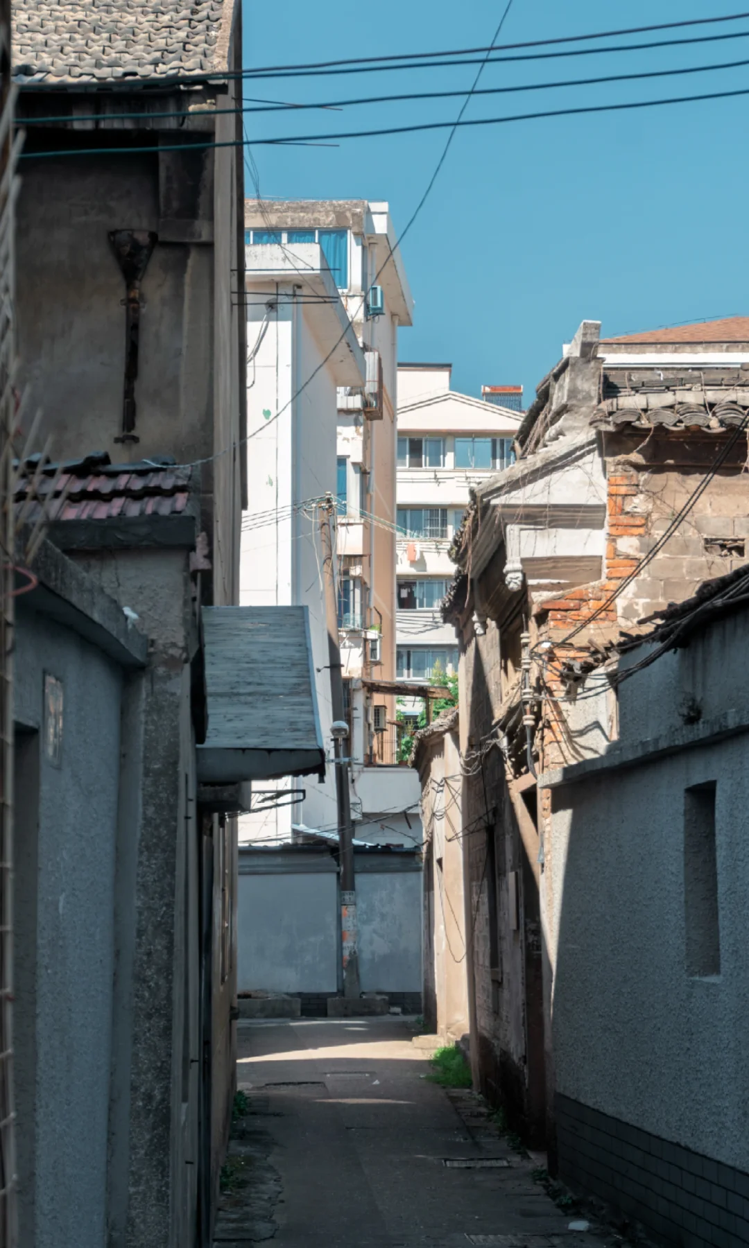 A6000扫街｜大家看看16-50套头画质可还行❓