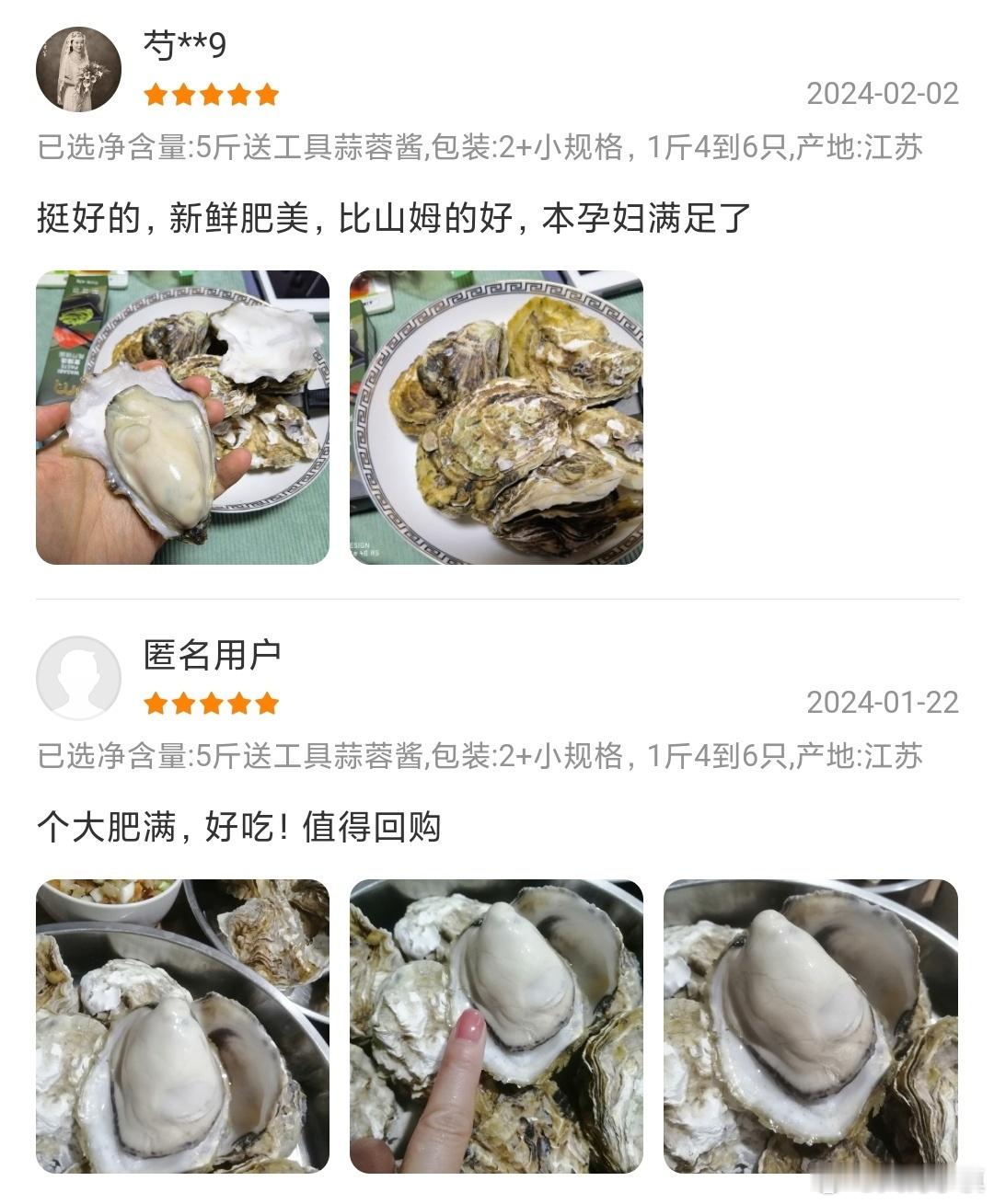 假期结束，过年大鱼大肉吃腻了，来点生蚝解解馋吧[哈哈]生蚝全部是净化干净后鲜活发