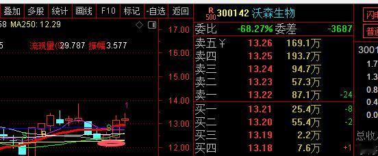 AI应用概念局部异动，中国软件(sh600536)直线涨停，浪潮软件(sh600