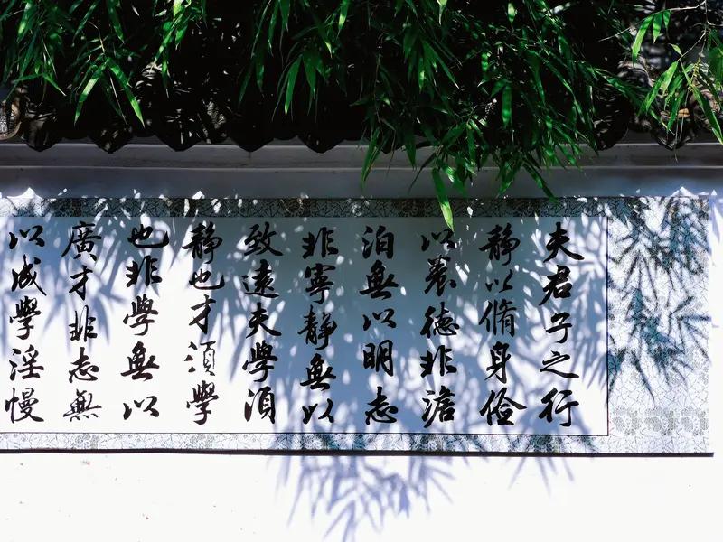 “人不可貌相”这句谚语，告诉我们不能只凭外表去评判一个人。对下联既要内容相关，又