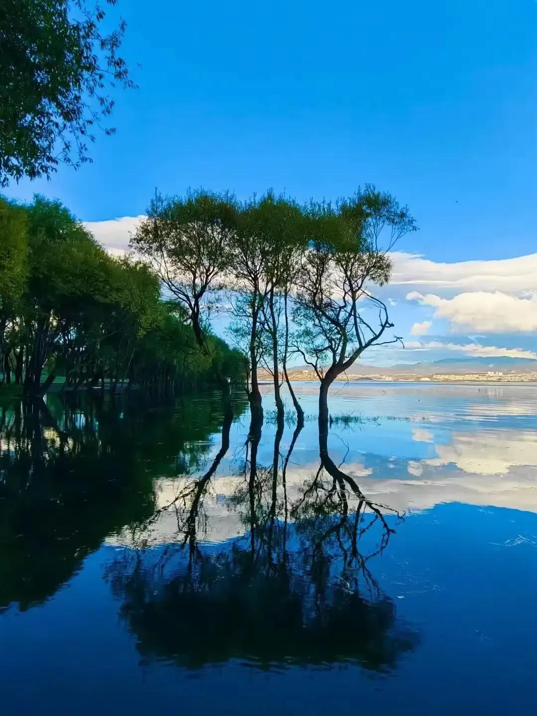 今天是蛇年正月初六。在这个日子里，我的亲人，我的朋友，祝你们万顺：万事如意，顺顺