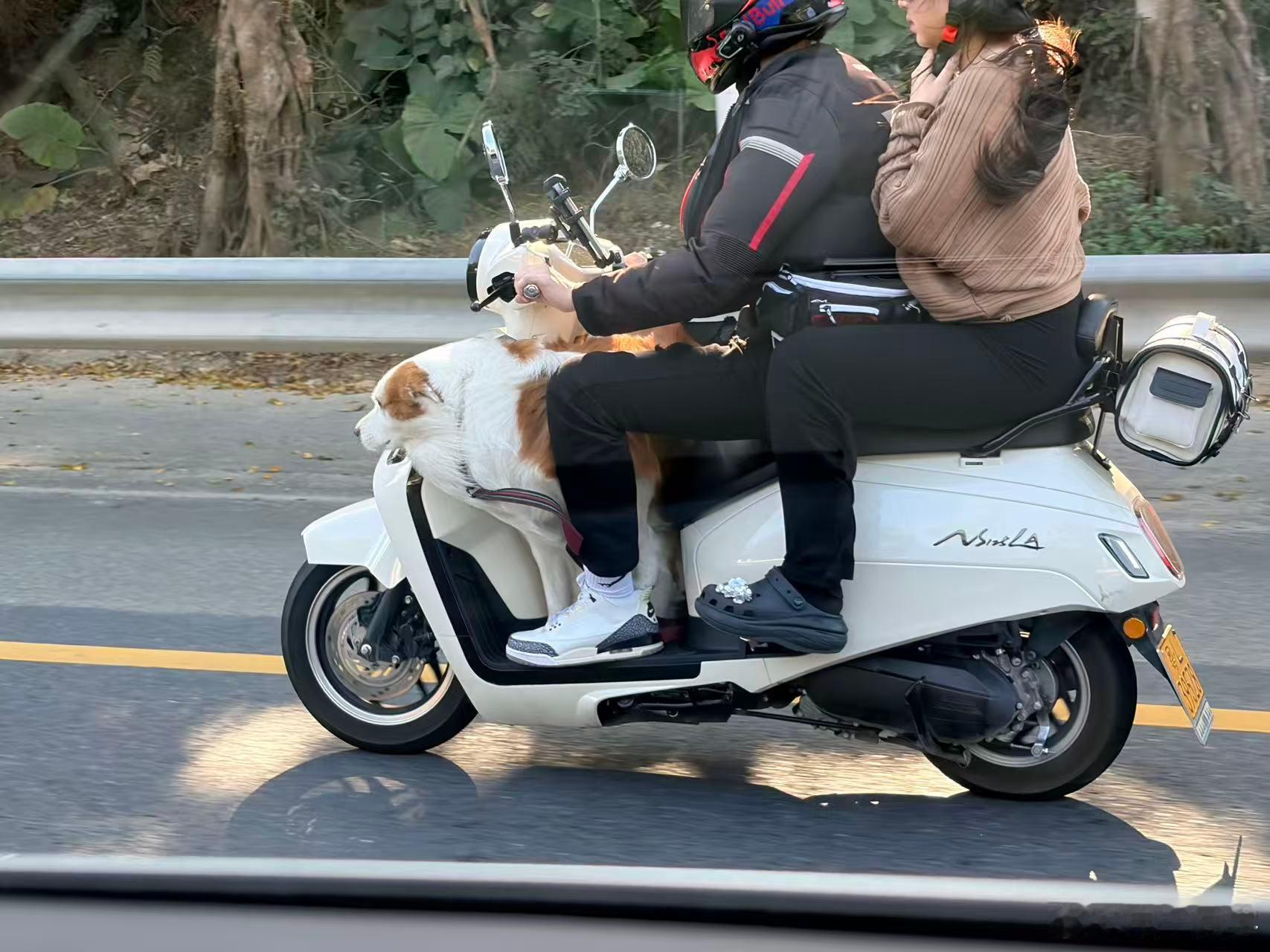 车就是来用的，所以你管它是啥车呢，只要能带你去做喜欢的事情就好，对吧电车同学随便