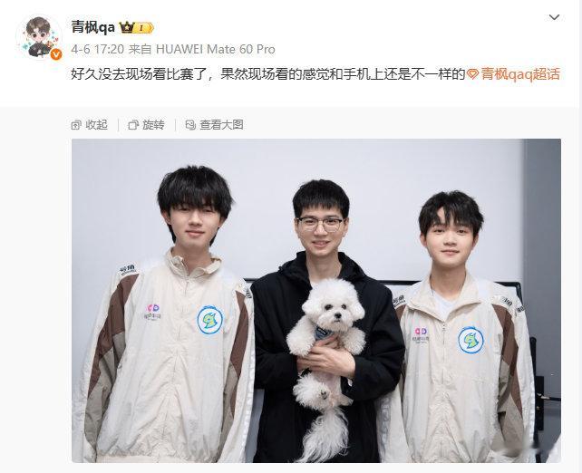 枫雨不改岚鹏友的羁绊枫雨不改岚鹏友的羁绊呀！这个看着很不错呀！ ​​​