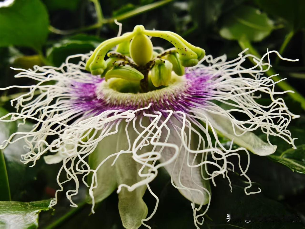 最近不知道为什么，有些发了几个月的作品平台都还在推送。昨天我收到了几个来自那些作