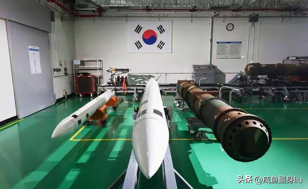 韩国拒绝的很果断，韩国不想让俄罗斯产生别的想法，韩国前期就没怎么站队乌克兰，此时