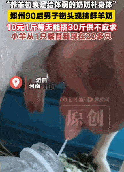 太大胆了！河南，一男子因奶奶患有营养不良性贫血，便买来一只羊，想用新鲜羊奶为老人