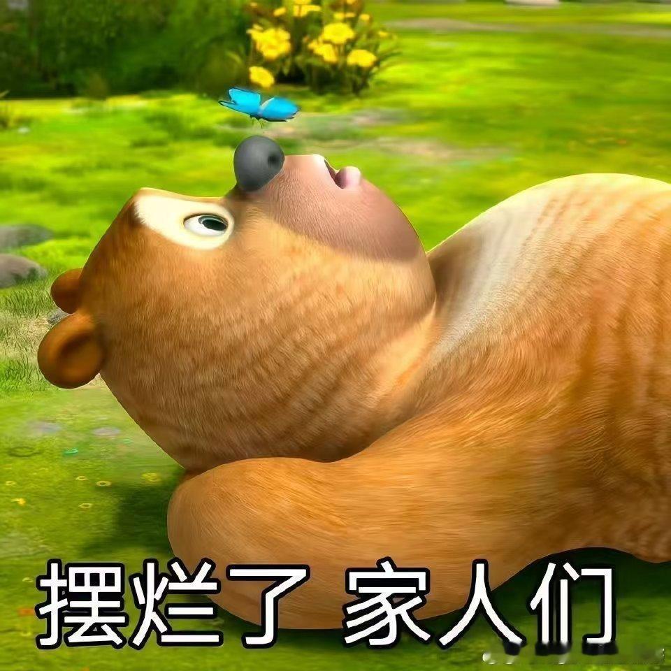 车圈达人年终总结不整虚的！测过的几十款车排高低，自驾万公里的干货全分享，养车避坑